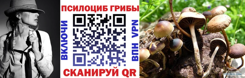 Галлюциногенные грибы MAGIC MUSHROOMS  Купить закладки  Льгов 